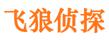 河池市婚姻调查